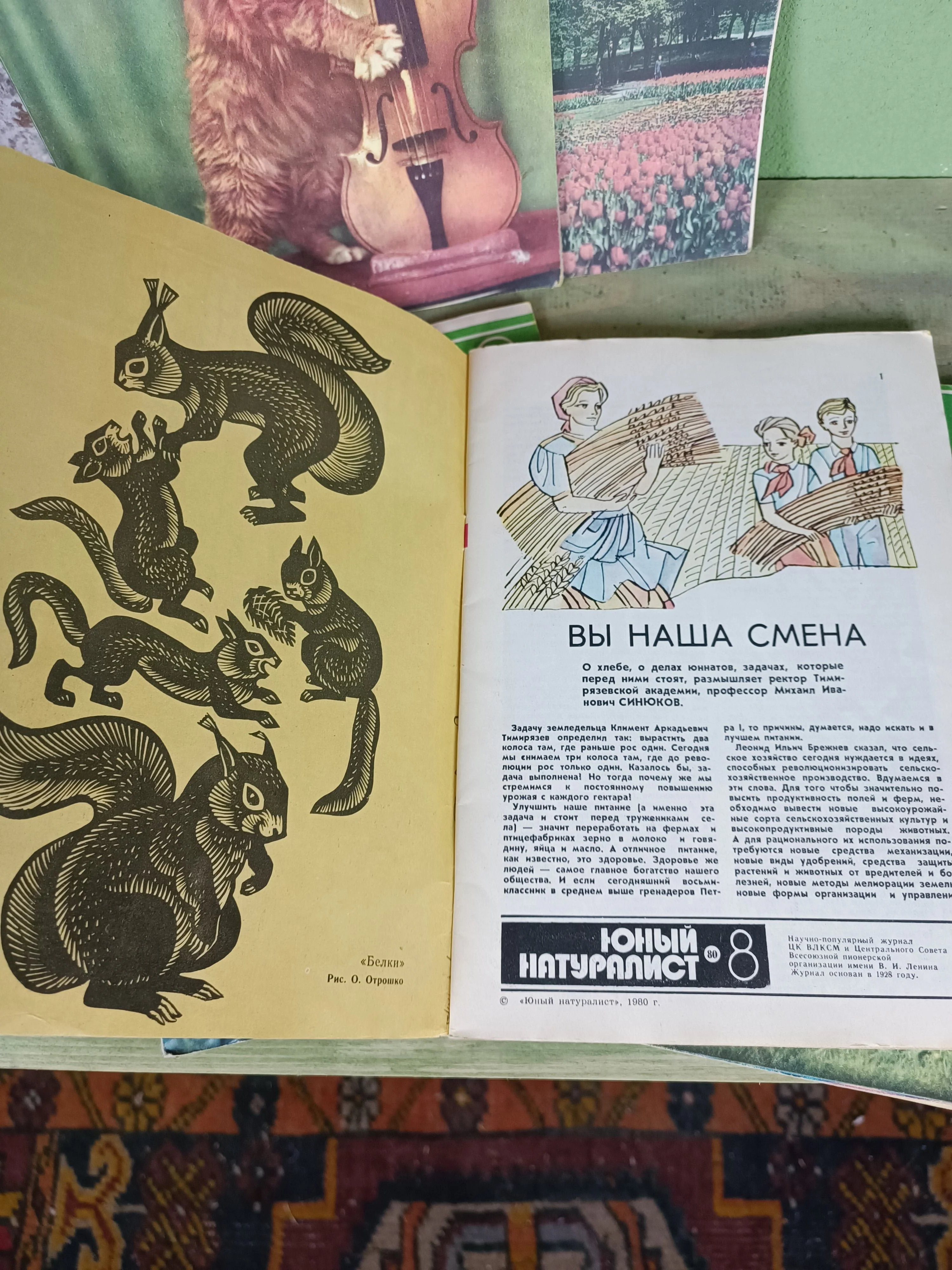 1980 Soviet Magazines: ''Юный натуралист'' / Junior Naturalist - Image 3
