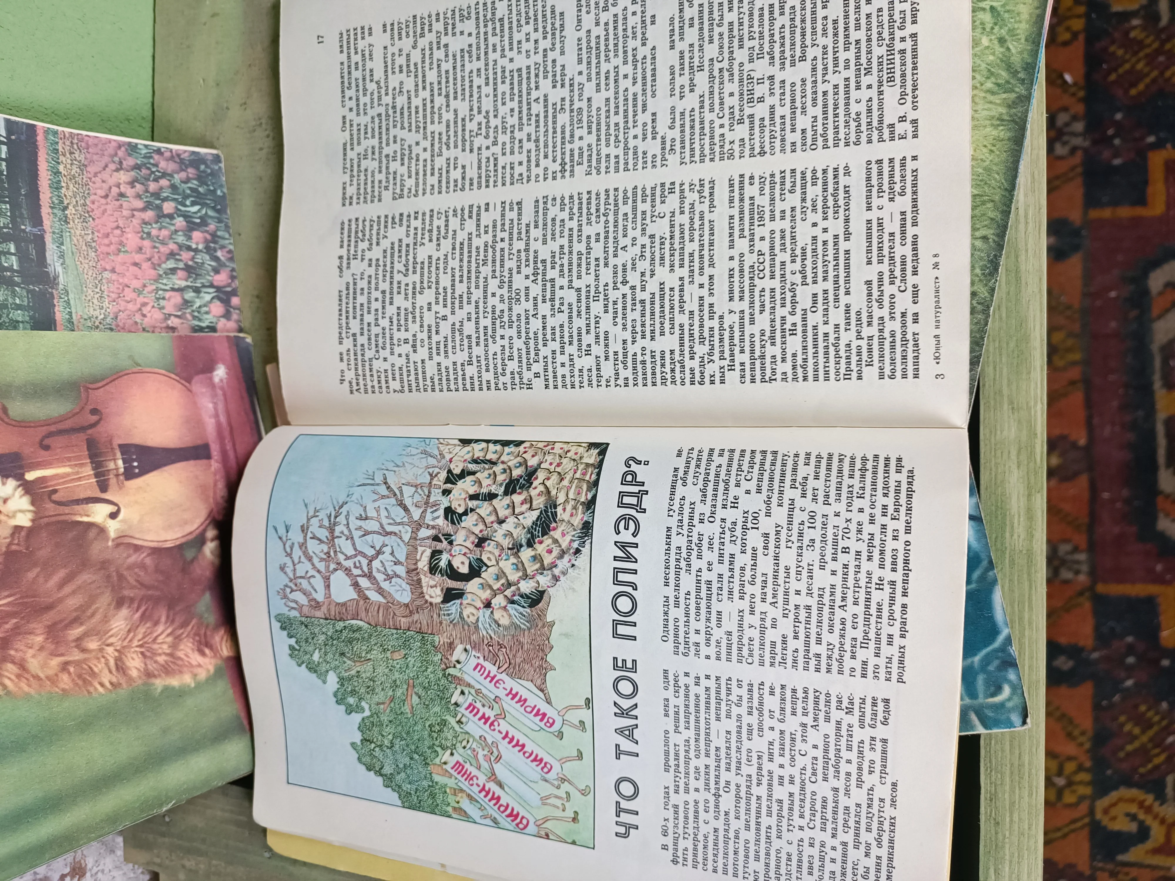 1980 Soviet Magazines: ''Юный натуралист'' / Junior Naturalist - Image 4