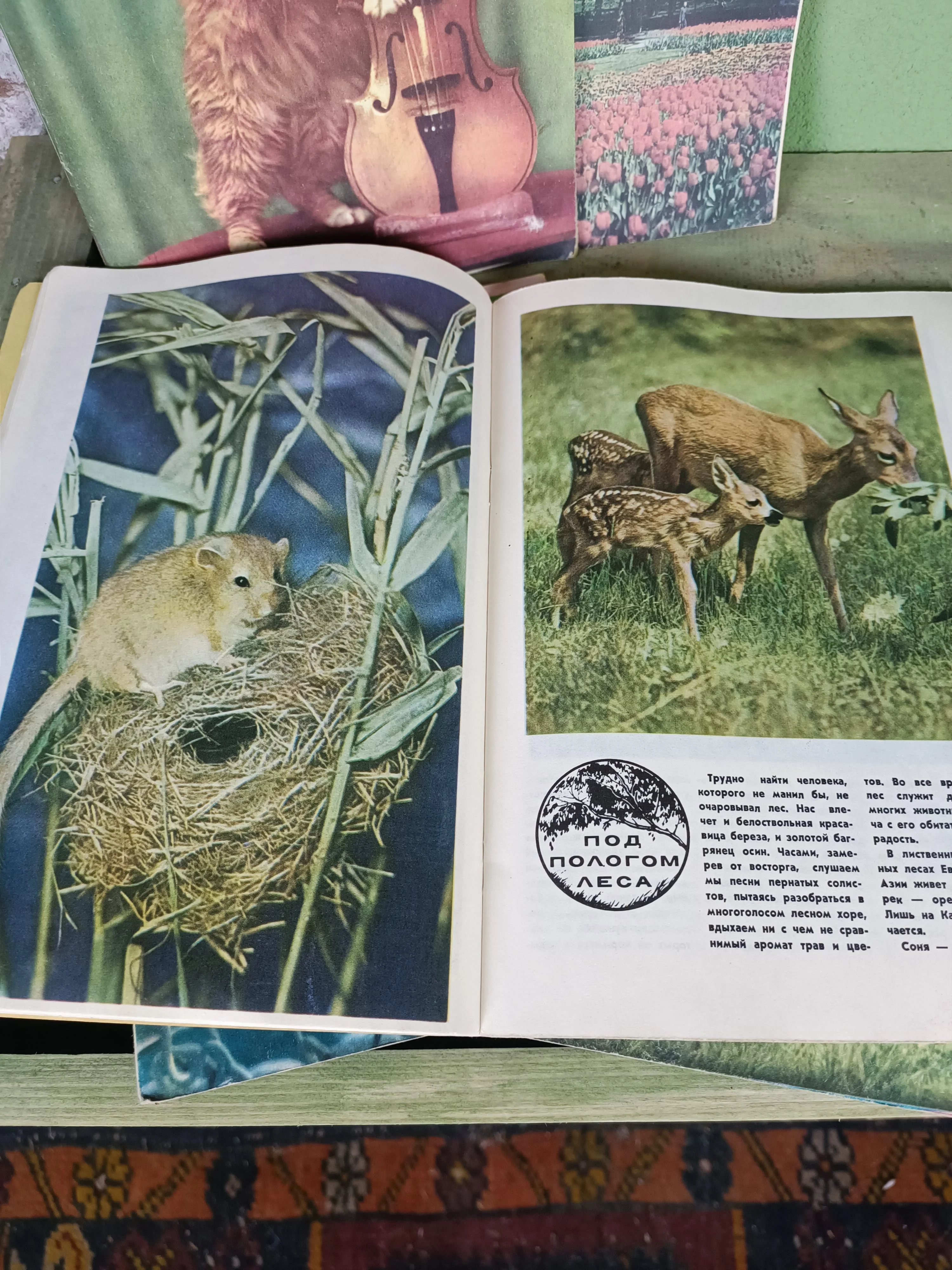1980 Soviet Magazines: ''Юный натуралист'' / Junior Naturalist - Image 5