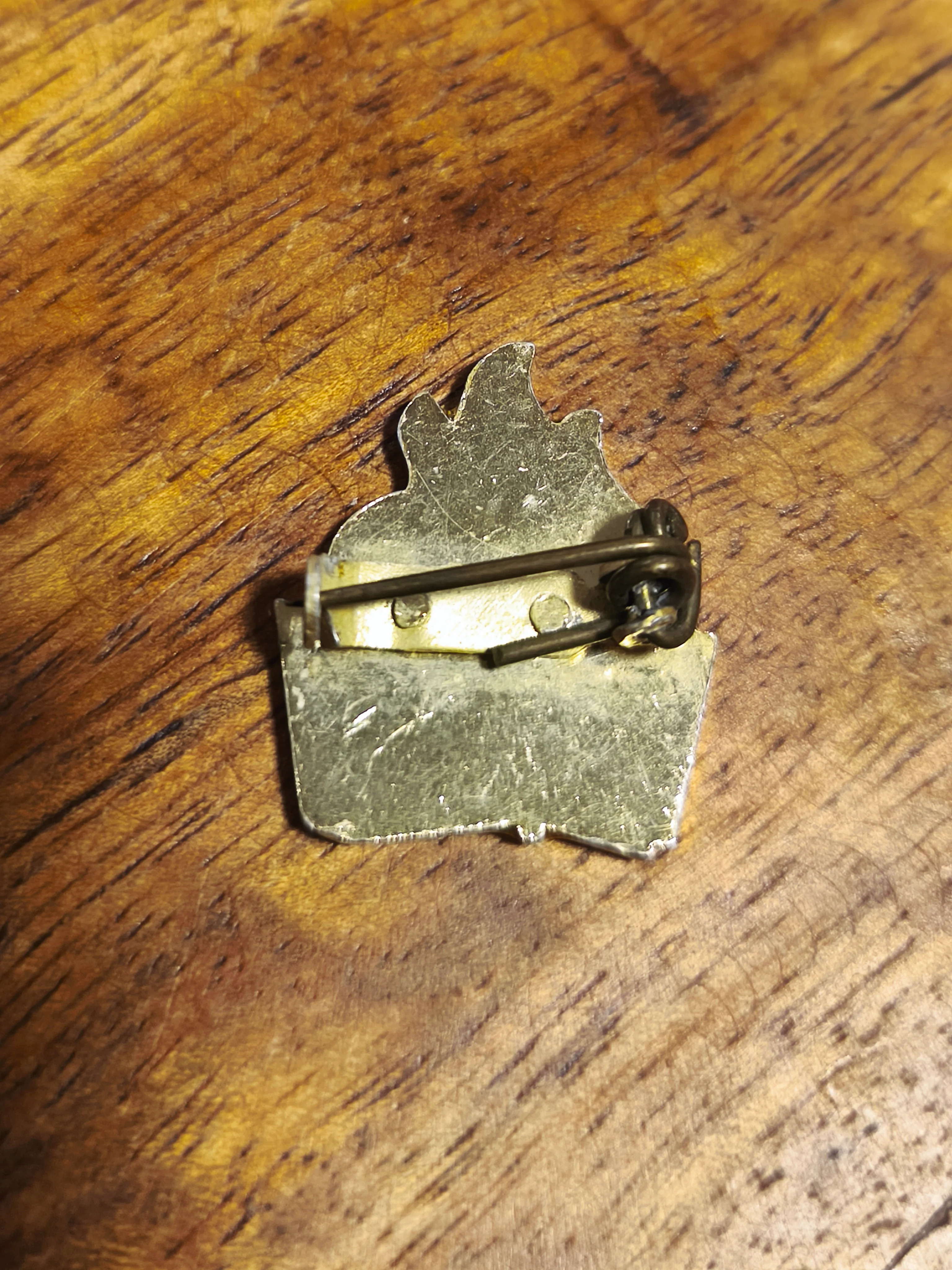 CSSR Czechoslovakian Socialist Youth Pioneer Member Badge SSM - Image 3