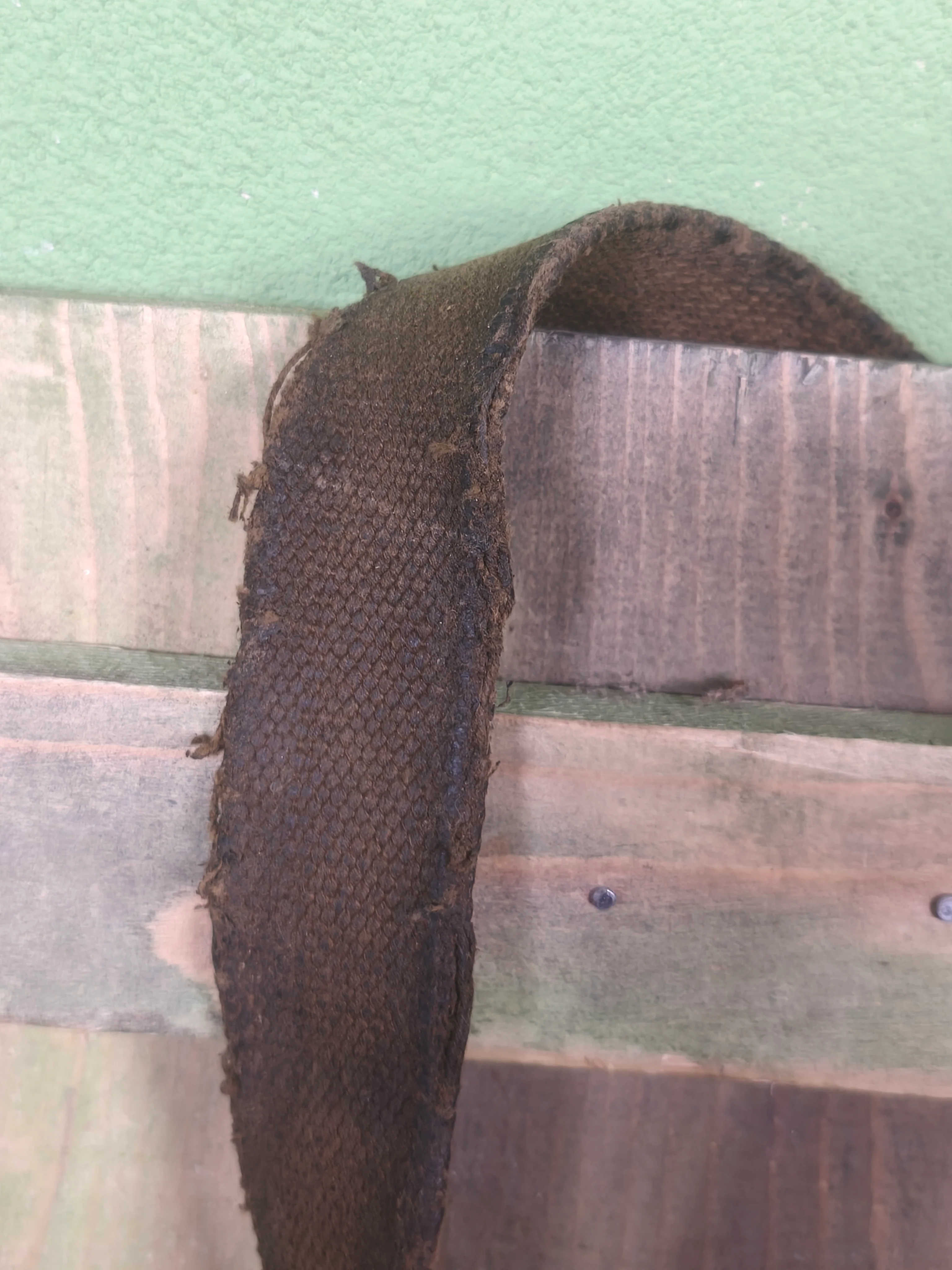 Issued Soviet AK Weapon Sling - Image 4