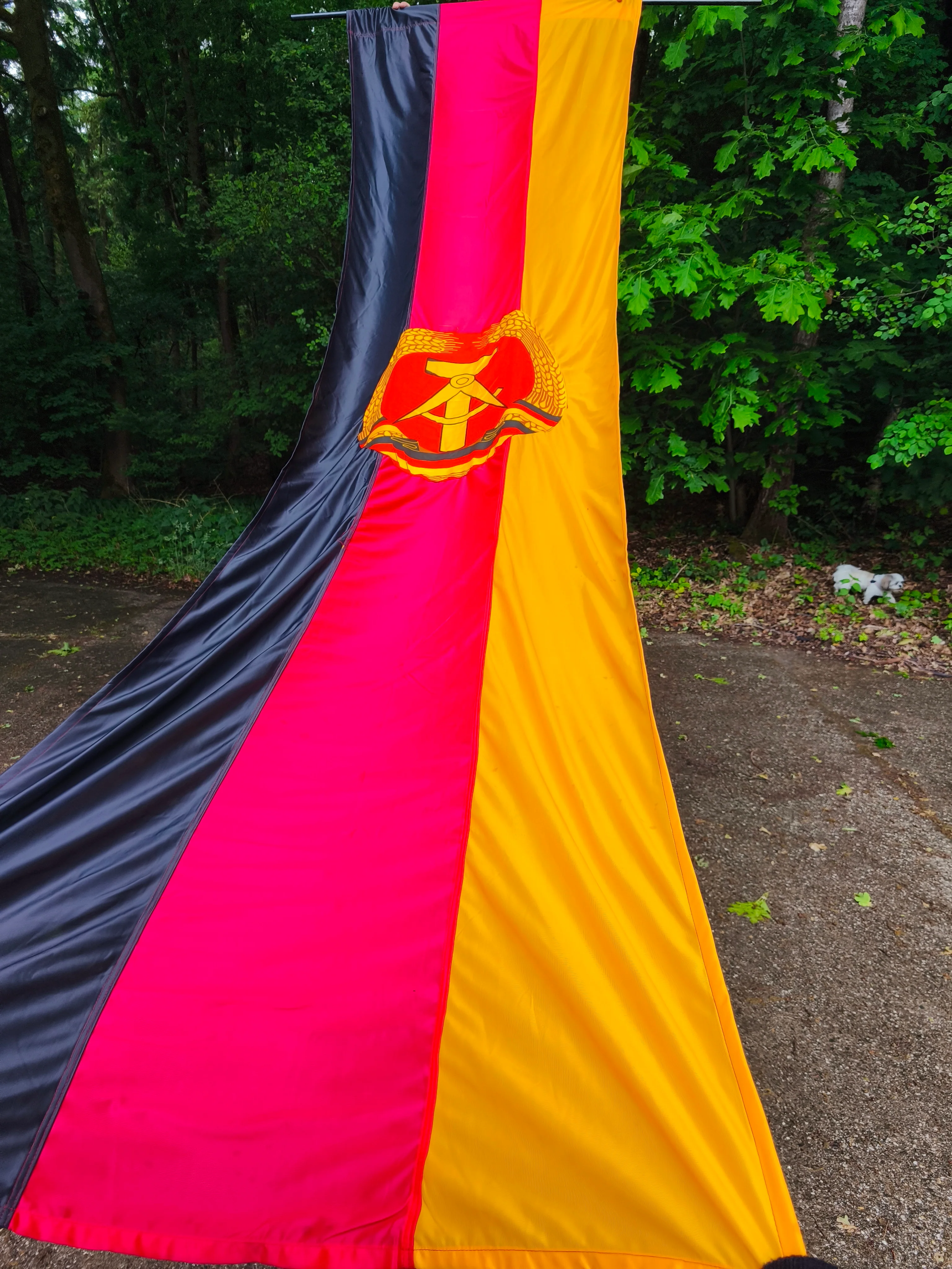 HUGE DDR Parade Flag 360x105cm / 141x41'' - Image 7